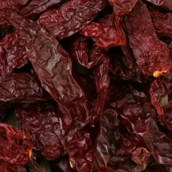 KASHMIRI CHILLI INTEIRO