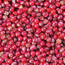 Pink Peppercorns 50g