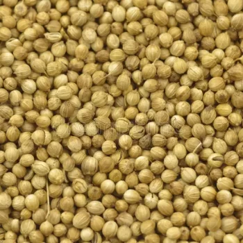 Whole / Coriander Seeds (100g)