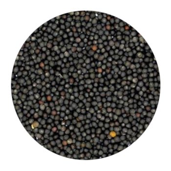Black Mustard Seeds (100g)