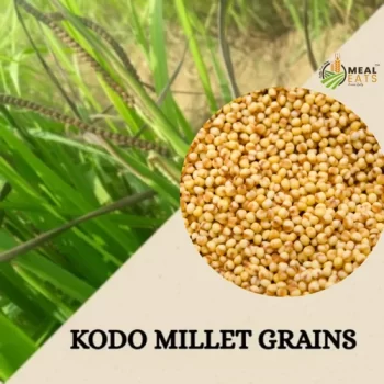 Kodo Millet