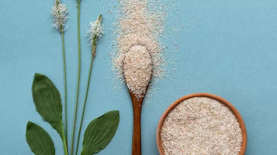 Casca de Psyllium: Benefícios, Usos e Como Tomar