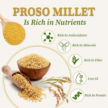Proso Millet